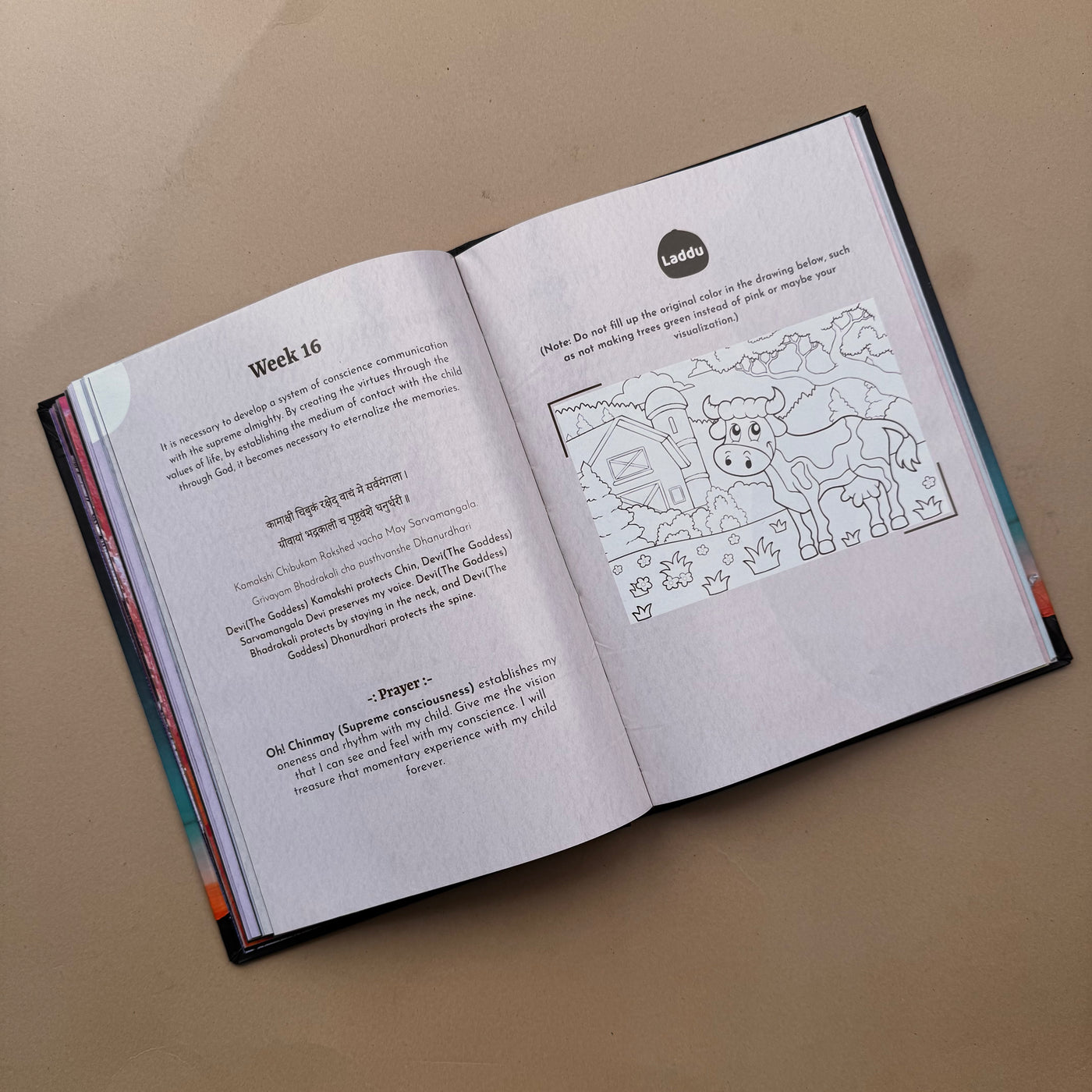 GARBHYATRA pregnancy book ( English )
